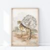 Plakat do pokoju dziecka gepard safari